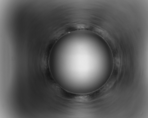 X0000090490422200707201541