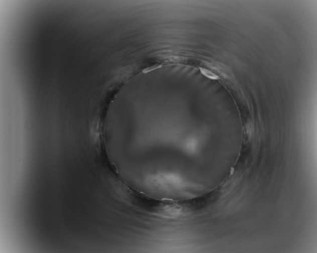 X0000090490423200707201541
