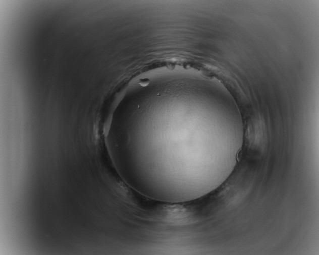 X0000090490424200707201541