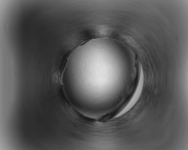 X0000090490425200707201541