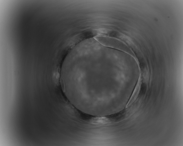 X0000090490427200707201540