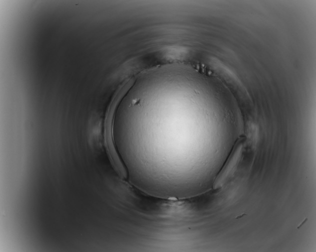 X0000090490428200707201540