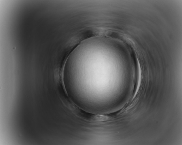 X0000090490429200707201540