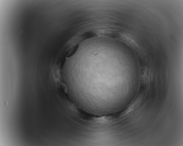 X0000090490430200707201540