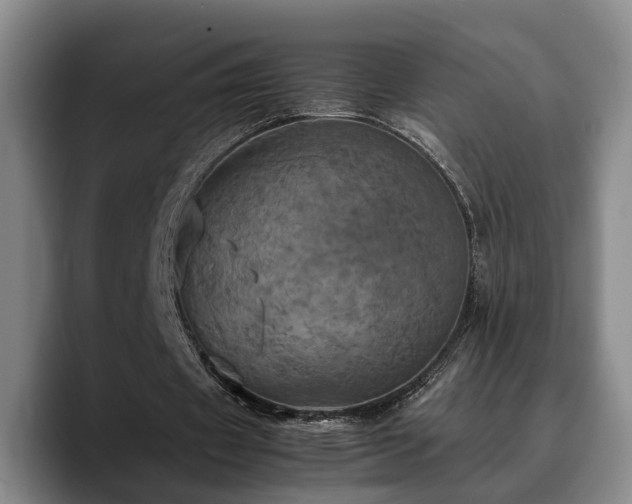 X0000090490433200707201540