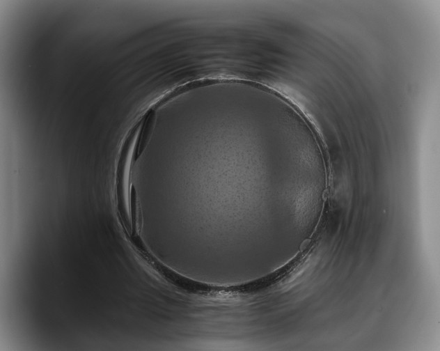 X0000090490437200707201540