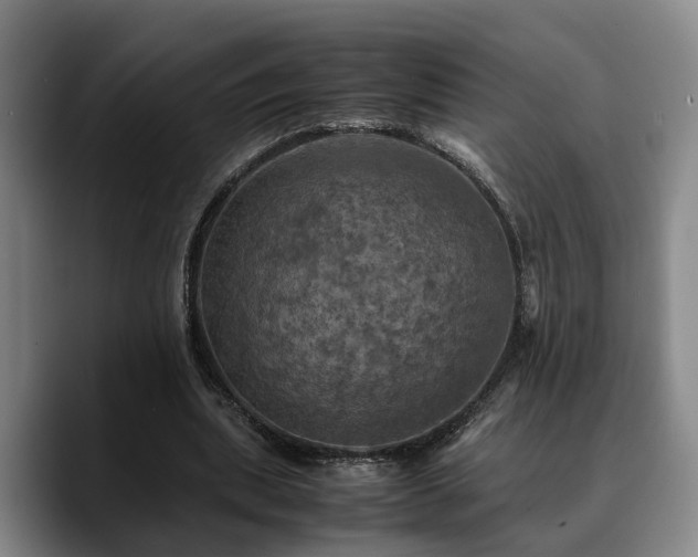 X0000090490439200707201540