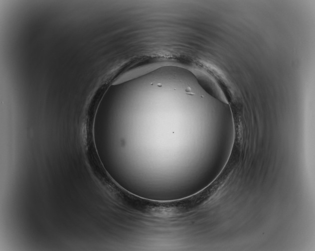 X0000090490444200707201540