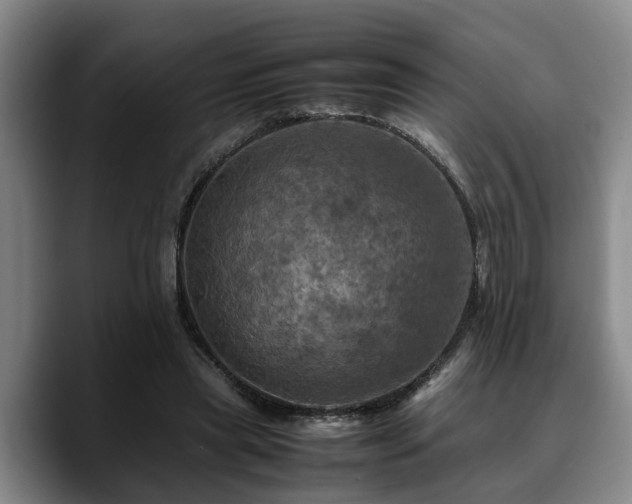 X0000090490445200707201540