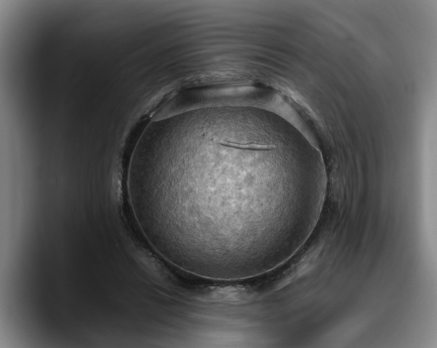 X0000090490446200707201540