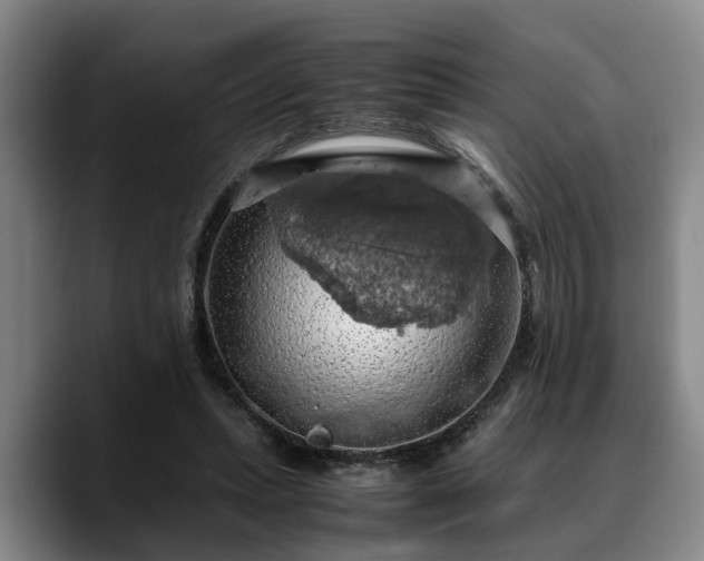 X0000090490447200707201540