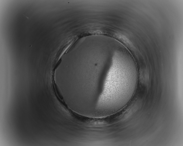 X0000090490449200707201540