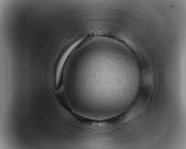 X0000090490450200707201540