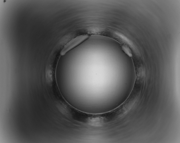 X0000090490452200707201540