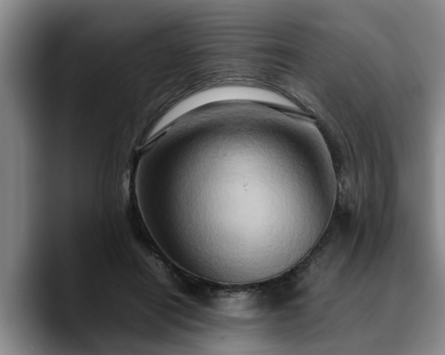 X0000090490454200707201540