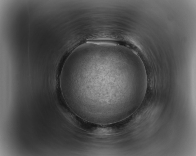 X0000090490455200707201540
