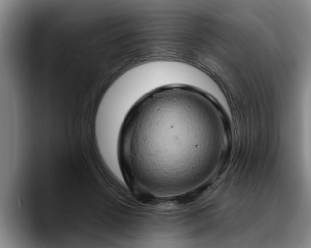 X0000090490456200707201540