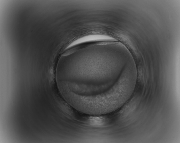 X0000090490457200707201540