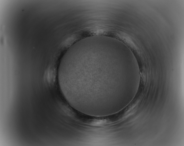 X0000090490458200707201540