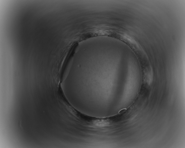X0000090490465200707201540