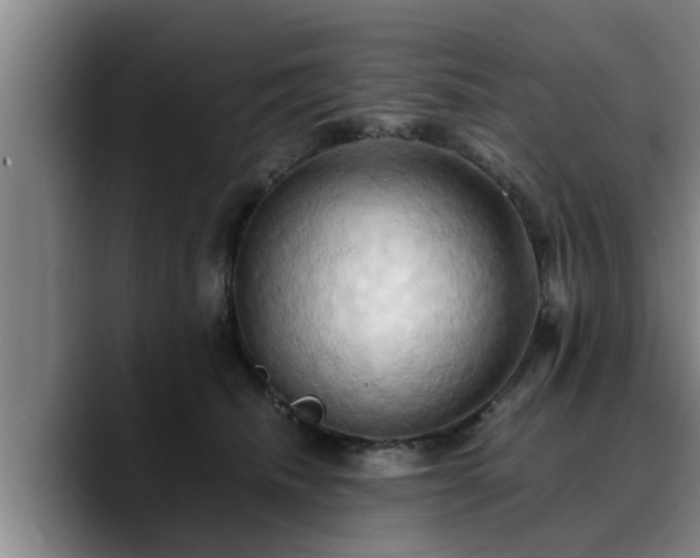 X0000090490468200707201540