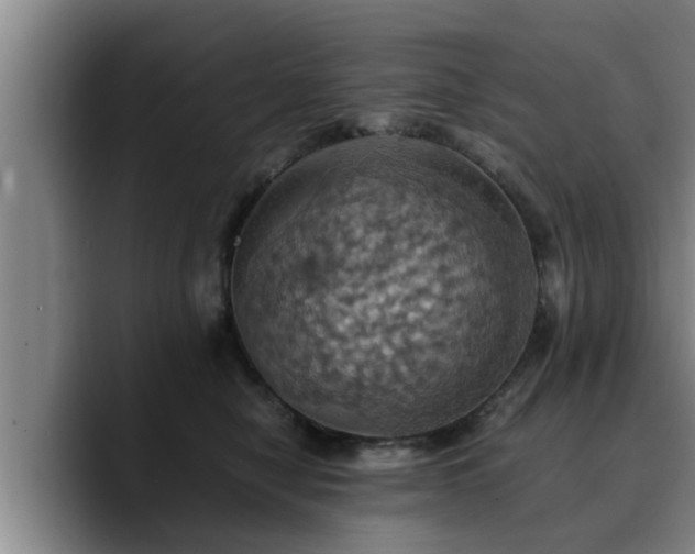 X0000090490470200707201540