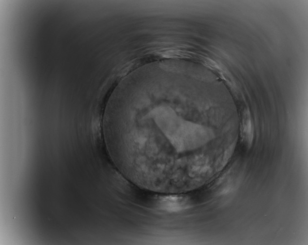 X0000090490473200707201540