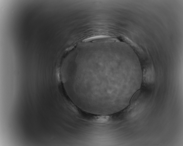 X0000090490474200707201540