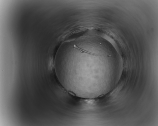 X0000090490478200707201540