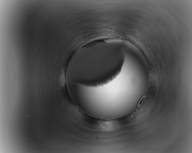 X0000090490479200707201540