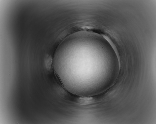 X0000090490480200707201540
