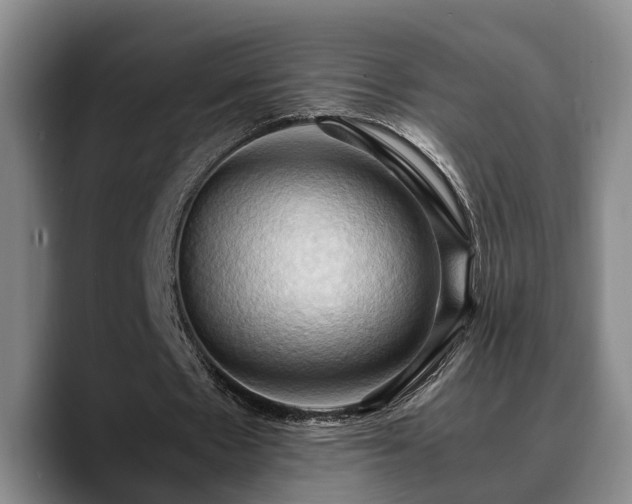 X0000090490481200707201540