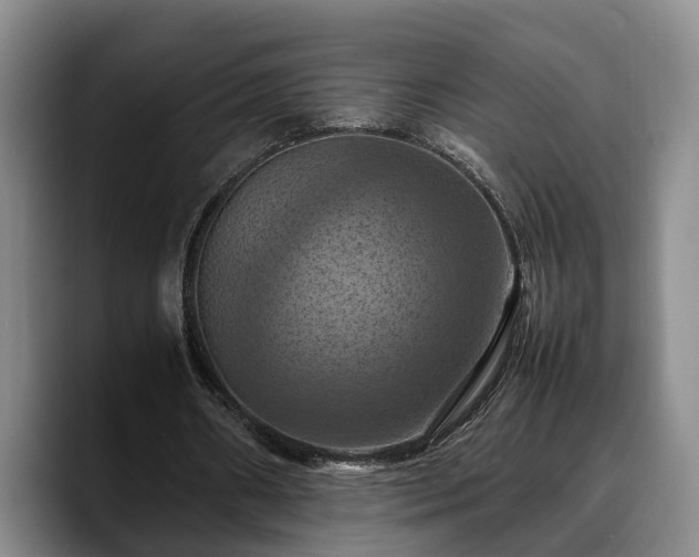 X0000090490482200707201540