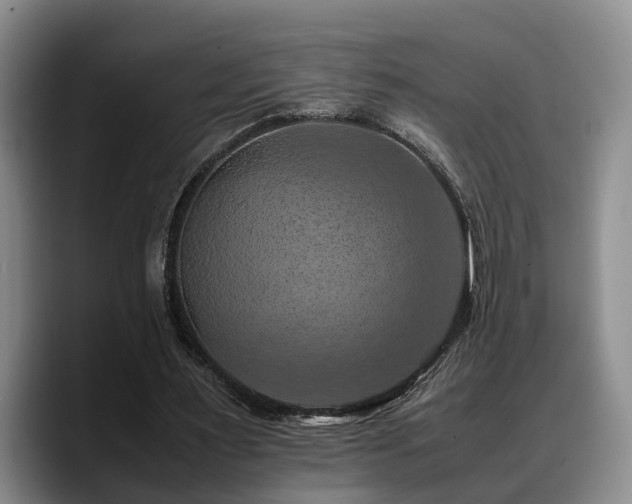 X0000090490483200707201540