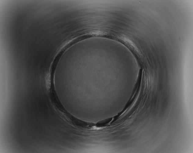 X0000090490484200707201540