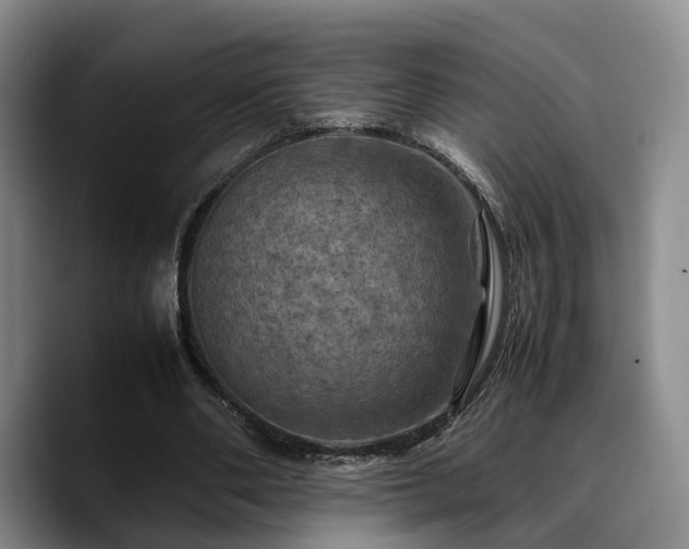 X0000090490486200707201540