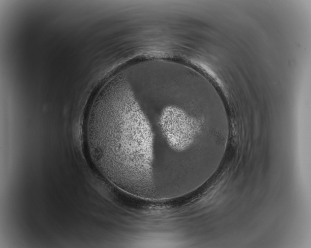 X0000090490487200707201540