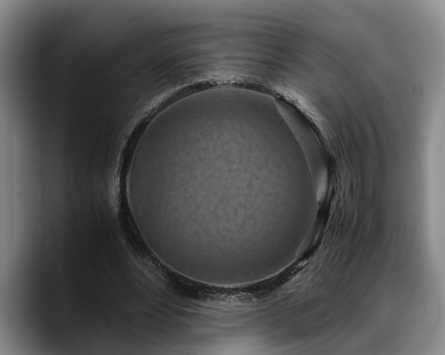 X0000090490488200707201540