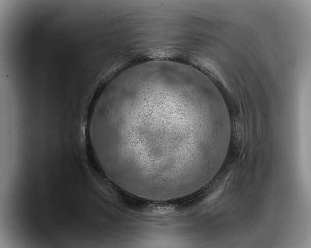 X0000090490491200707201540
