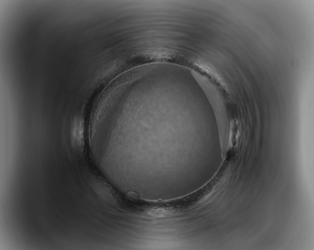 X0000090490494200707201540