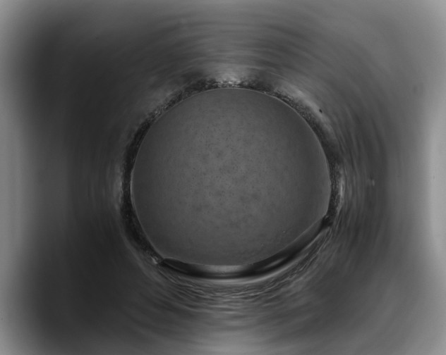 X0000090490496200707201540