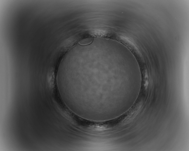X0000090490498200707201540