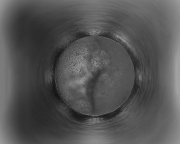 X0000090490499200707201540