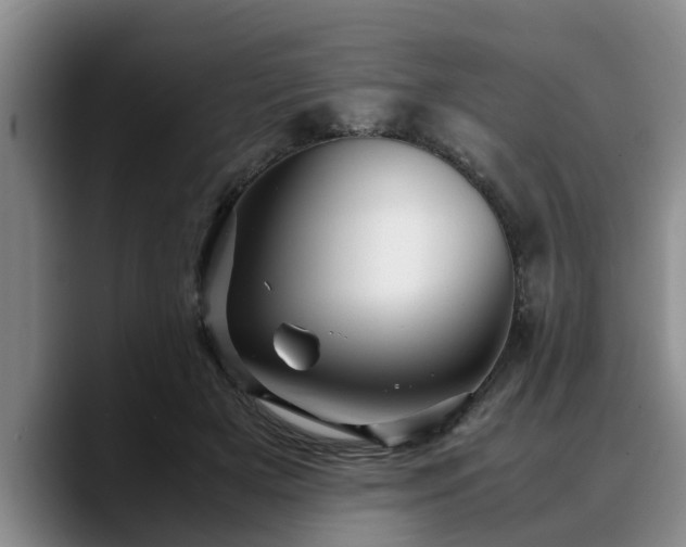 X0000090490505200707201540