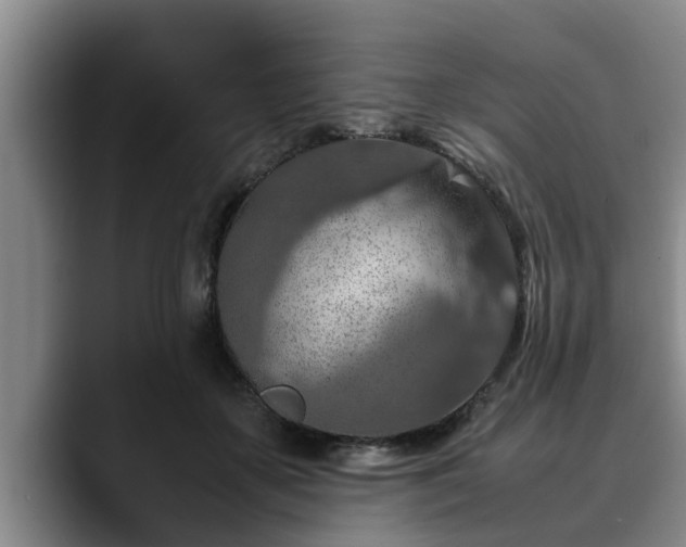 X0000090490507200707201540