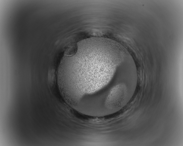 X0000090490511200707201540
