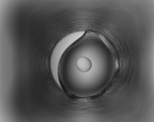 X0000090490516200707201539