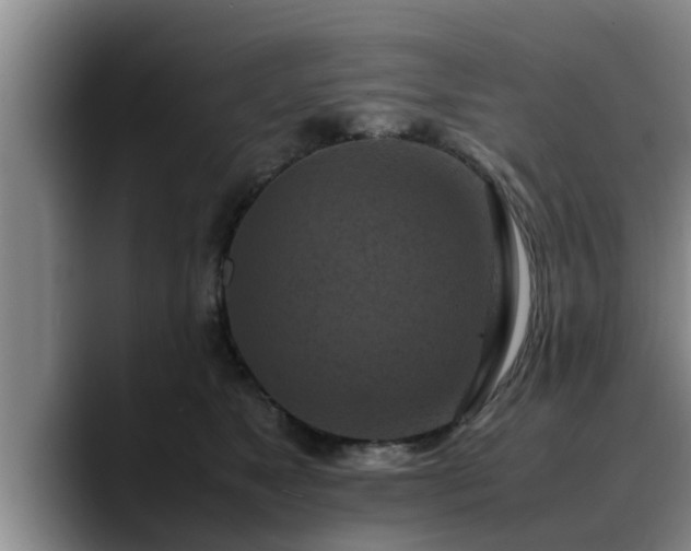X0000090490517200707201539