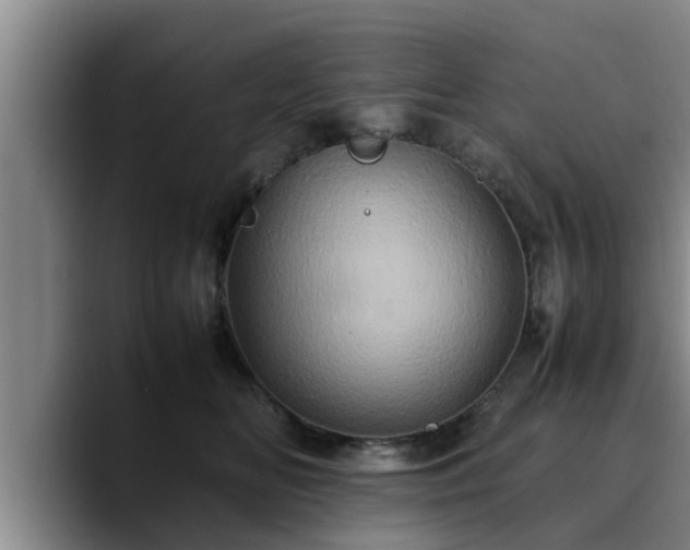 X0000090490518200707201539