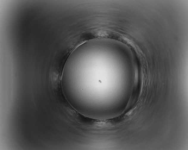 X0000090490521200707201539